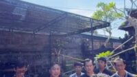I Nyoman Parta kebakaran.bakar
